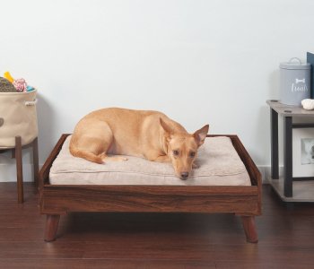Pet-Beds-and-Furniture